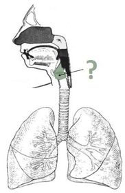 larynx