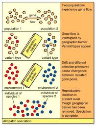 Cfe Higher Biology Key Words