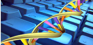 Bioinformatics