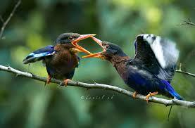 Competition