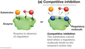 Competitive inhibition