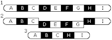 Deletion (genes)