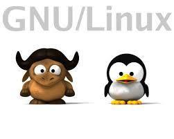 ETIMOLOGÍA: El nombre GNU, GNU's Not Unix (GNU no es Unix), viene de las herramientas básicas de sistema operativo creadas por el proyect...