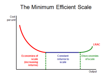 Minimum Efficient Scale