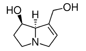 Necin Grundgerüst Pyrrolizidinalkaloide Schweinsbergerkrankheit, Leberkollar Zu hepatoxischen Intermedien abgebaut Längerer Konsum gefähr...