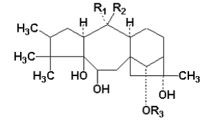Grayanotoxine Ericaeaen-ARten gastrointestinale, zentralvenöse, kardiovaskuläre Probleme