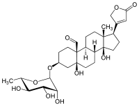 Covallatoxin k-Strophatin Maiglöckchen Übelkeit, Durchfall, Schwindel Erst rascher Puls und hoher Blutddruck spater verminderter Puls, La...