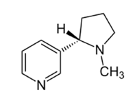 Nicotin Stimmulierd Acetylcholinrezeptor Beschleunigt Herzschlag, Bluddruck, Schlagvolumen erregend auf ZNS Tod durch zentrale Hemmung de...