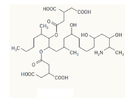 Fumonisin B1 hitzestabil, sehr giftig greifen aufgrund ihrer strukturellen Ähnlichkeit in die Biosynthese von Sphingosin, einem Baustein ...