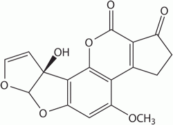 Aflatoxin M1 Bildung beim Abbau von B1, gelangt in Laktierendes Geweb-->Milch auch beim Mensch