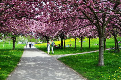 Der Frühling