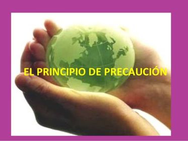 PRINCIPIO