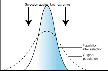 Biology - evolutionary processes | Flashcards