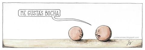 Bocha