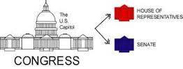 Congress Vocabulary Flashcards