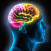 PENSAMIENTO COMPLEJO DE LA CIENCIA