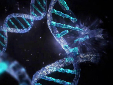 Características De La Complejidad: - La ciencia es un punto de vista de la complejidad. - La complejidad es un rasgo general de toda la r...