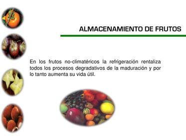 NO CLIMATÉRICOS