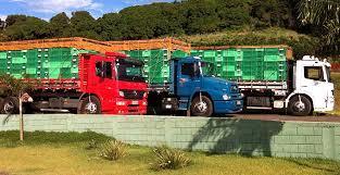 TRANSPORTE