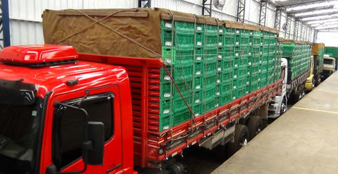 RECOMENDACIONES PARA EL TRANSPORTE
