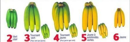 Frutas y Verduras CLIMATERICOS