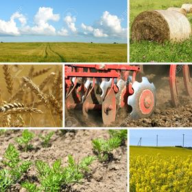 MAQUINARIA AGRÍCOLA