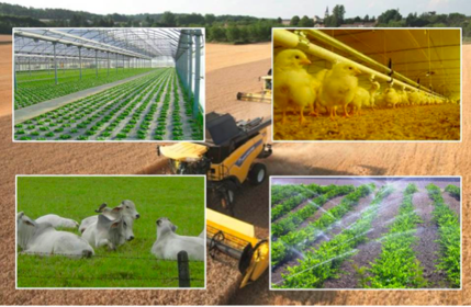 INFRAESTRUCTURA AGRÍCOLA