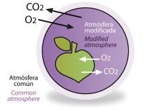 el empaquetado en atmósfera modificada implica eliminación del aire del interior para ser reemplazado por gas o mezcla de gases.