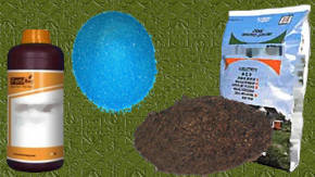 CLASES DE FERTILIZANTES