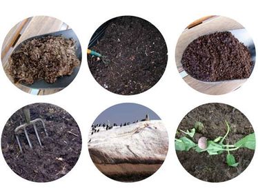 Fertilizantes Orgánicos