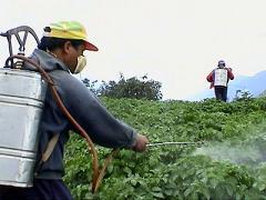Agroquimicos
