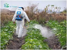 Insecticidas