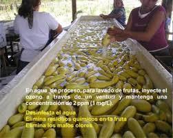 LAVADO Y DESINFECCIÓN