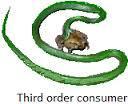 Third-order consumer