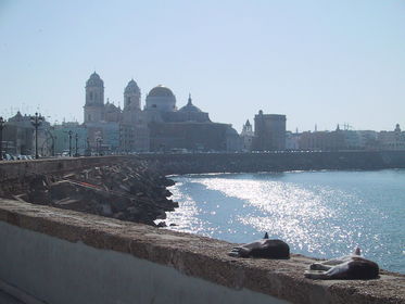 Tomar el sol Pasear Relajarse Mirar el mar
