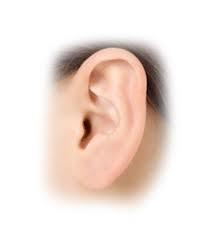 Oreja