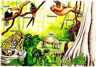 Imagen que muestra las distintas razas y estilos de animales viviendo juntos en los ecosistemas de la tierra.