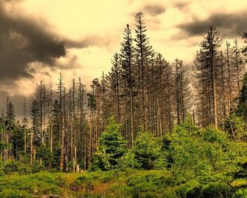 El concepto de lluvia ácida engloba cualquier forma de precipitación que presente elevadas concentraciones de ácido sulfúrico y nítrico. ...