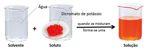 Transporte Essa capacidade de transportar substâncias é vital nos seres vivos, pois o sangue, feito aproximadamente de 60% de água, trans...