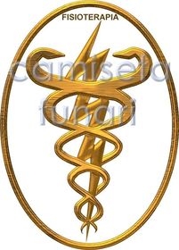 Como todo tema complejo la fisioterapia tiene sus alternativas mas complejas que son las especialidades