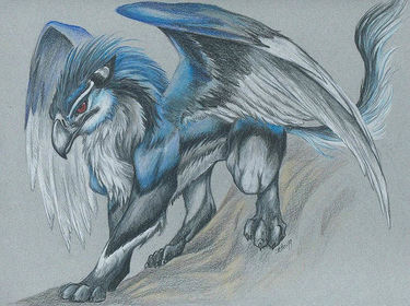 GRIFONE Il grifone è una creatura leggendaria con il corpo di leone e la testa d'aquila