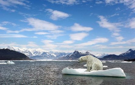 CLIMA POLAR