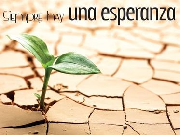 Dan recompensas permanentes No hay duda de que el afán de tener más supone un obstáculo para el progreso espiritual. El hombre más grande...