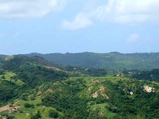Patrimonio Natural Parque Nacional Mount Hillaby Barbados América del Norte Caribe