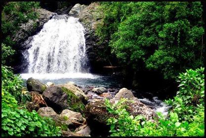 Patrimonio Natural Area Protegida de los Montes Azules Jamaica. Caribe