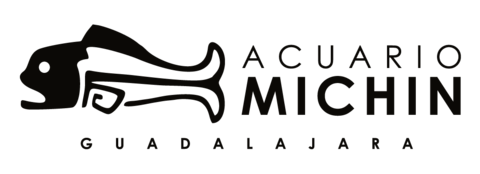 Indicadores para estándares de acreditación AZCARM