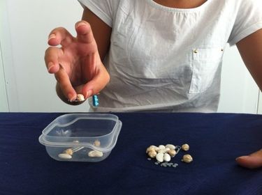 TERAPIA EN MANO