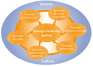 Determinantes del envejecimiento.