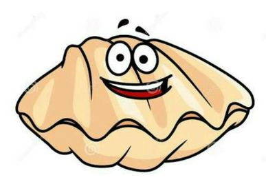 class clam club