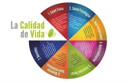 COMO PROMOVER LA CALIDAD DE VIDA.
